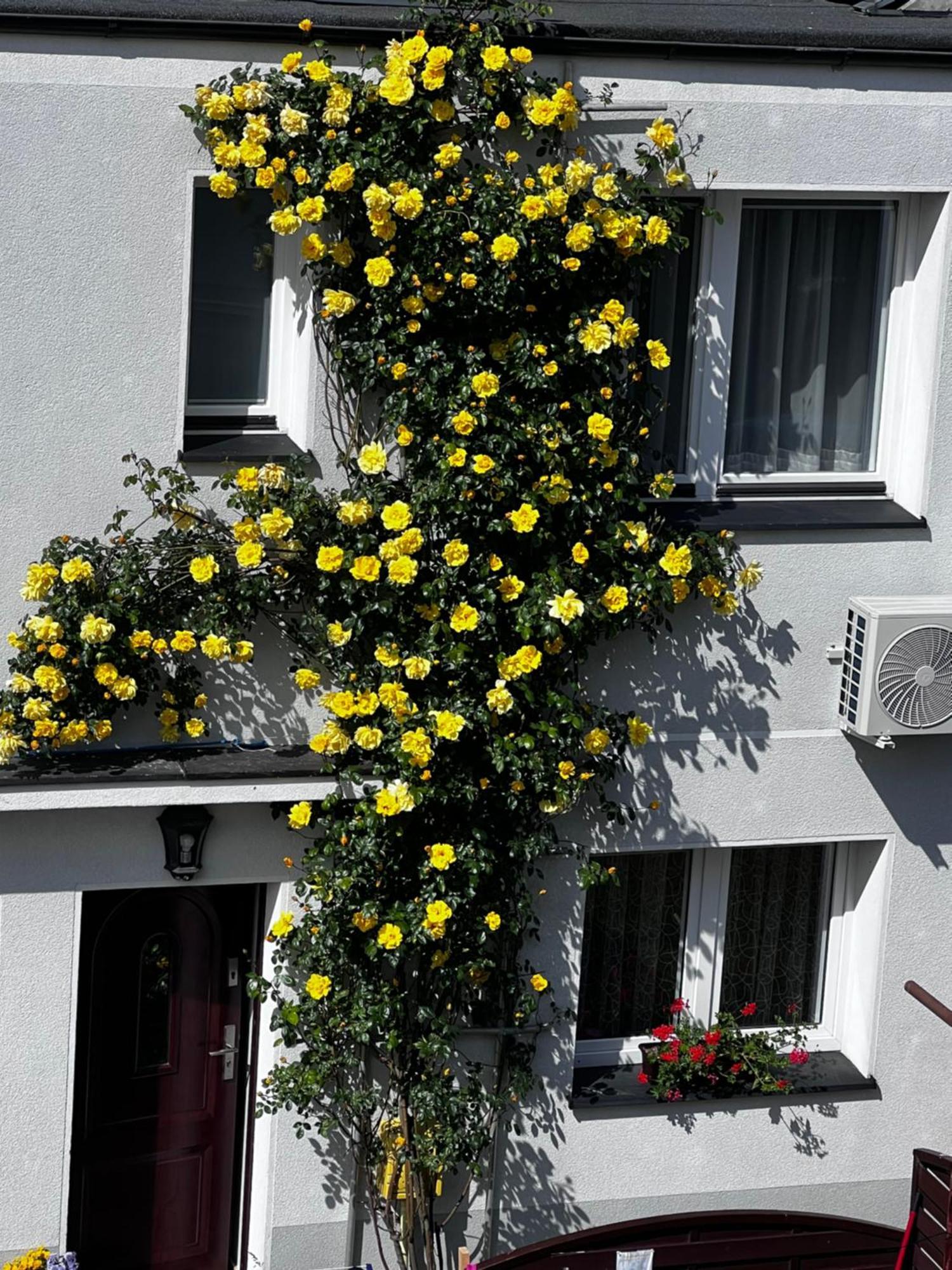 Szyper Piotr Apartment Jastarnia Exterior photo